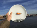 "First Bean to Space" porcelain plate set