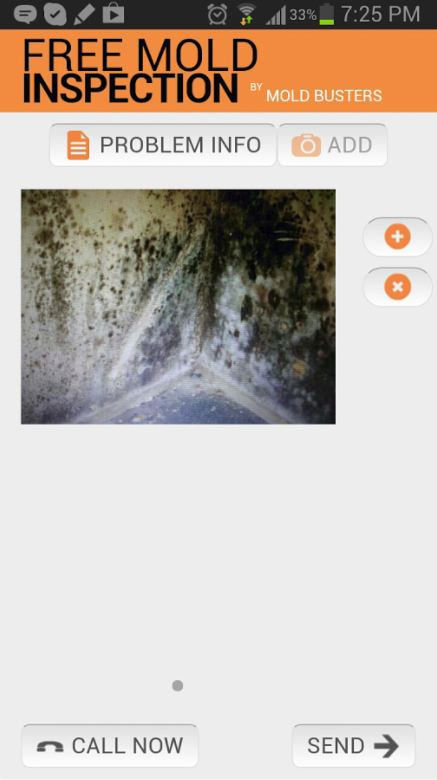 Mold Inspection App gallery image