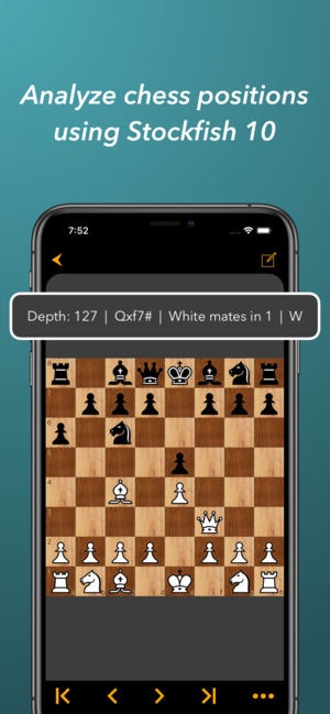 SKchess gallery image