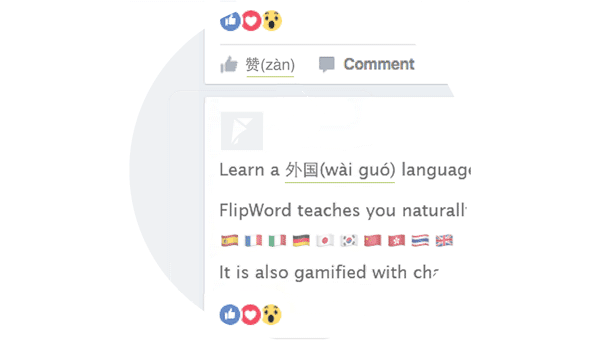 FlipWord Image