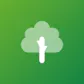 Tree Game