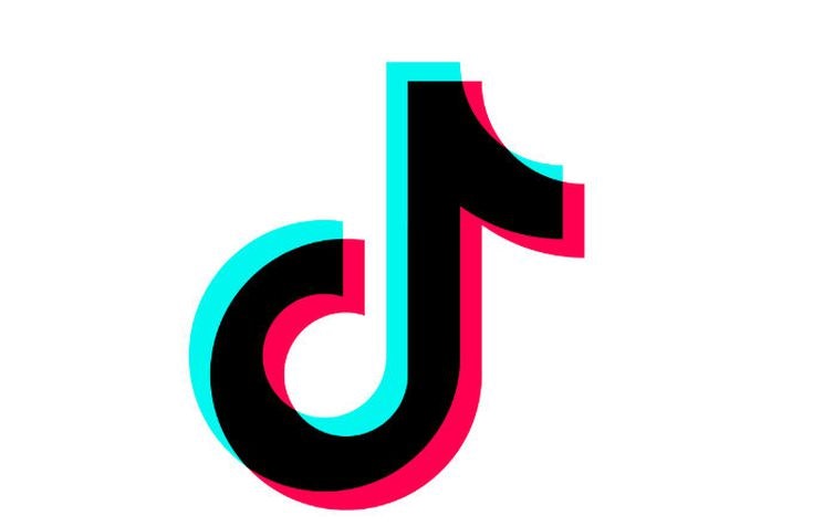 TikTok Video Downloader gallery image
