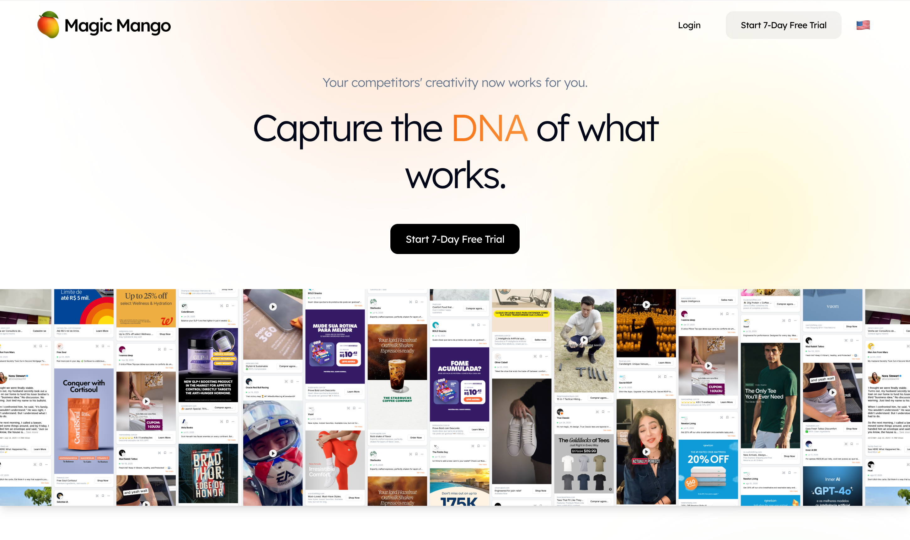 Magic Mango - Screenshot 3 showing product features and functionality