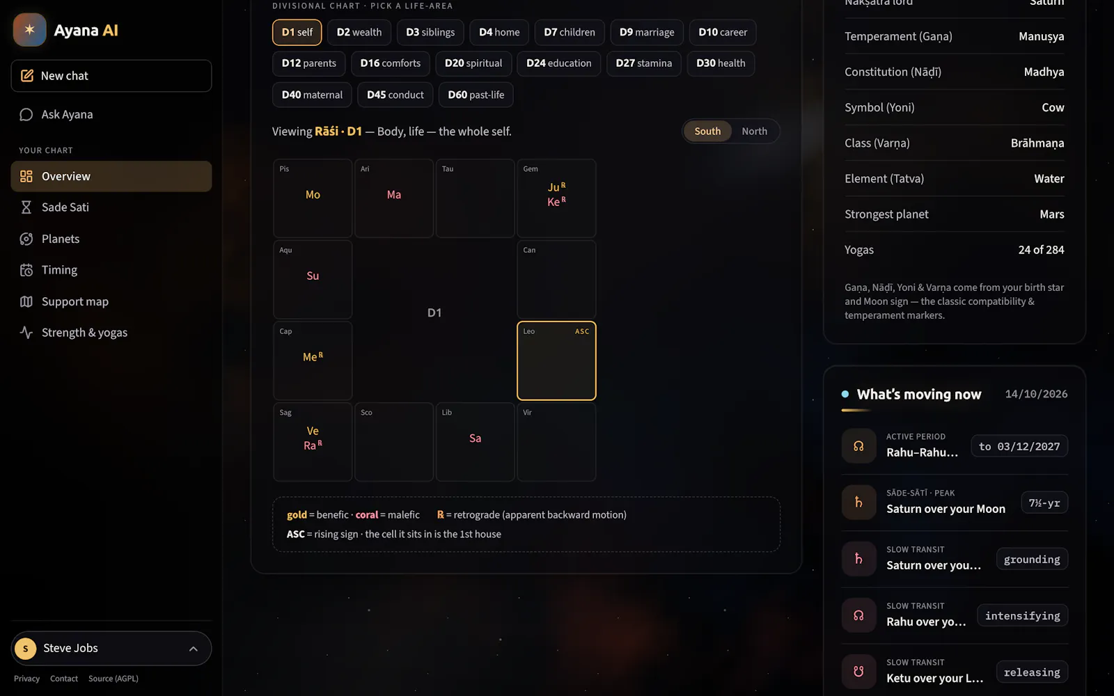 Ayana: Precise Vedic astrology + AI screenshot 3