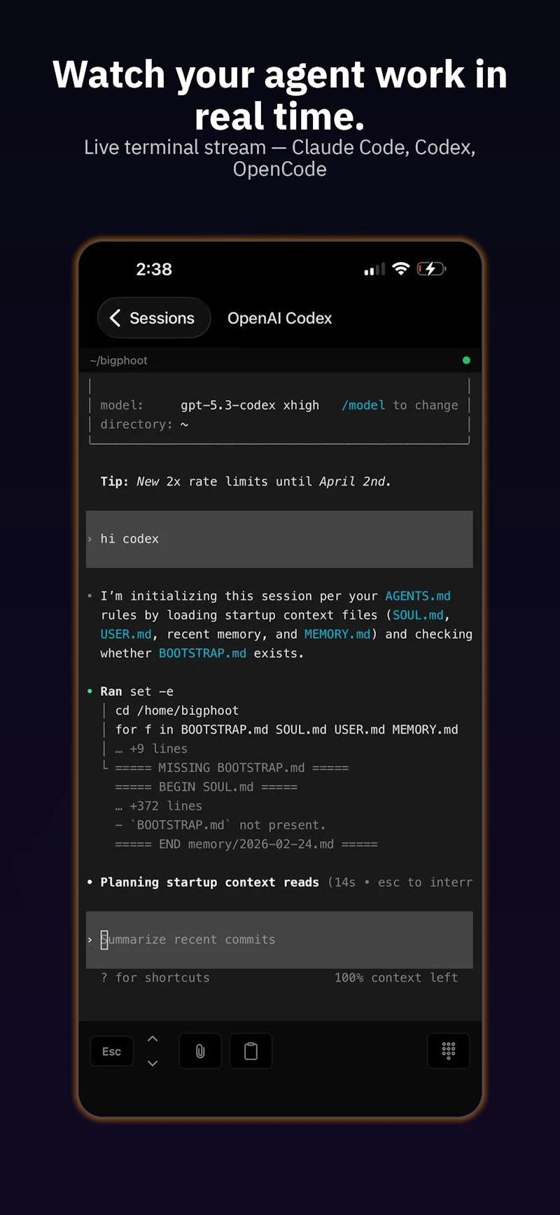 MobileCLI screenshot 2