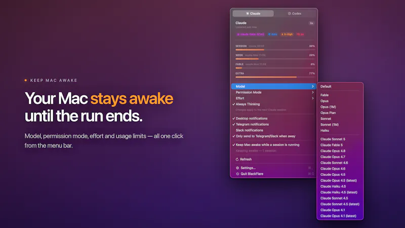 BlackFlare screenshot 3