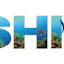 Fishing charters brisbane