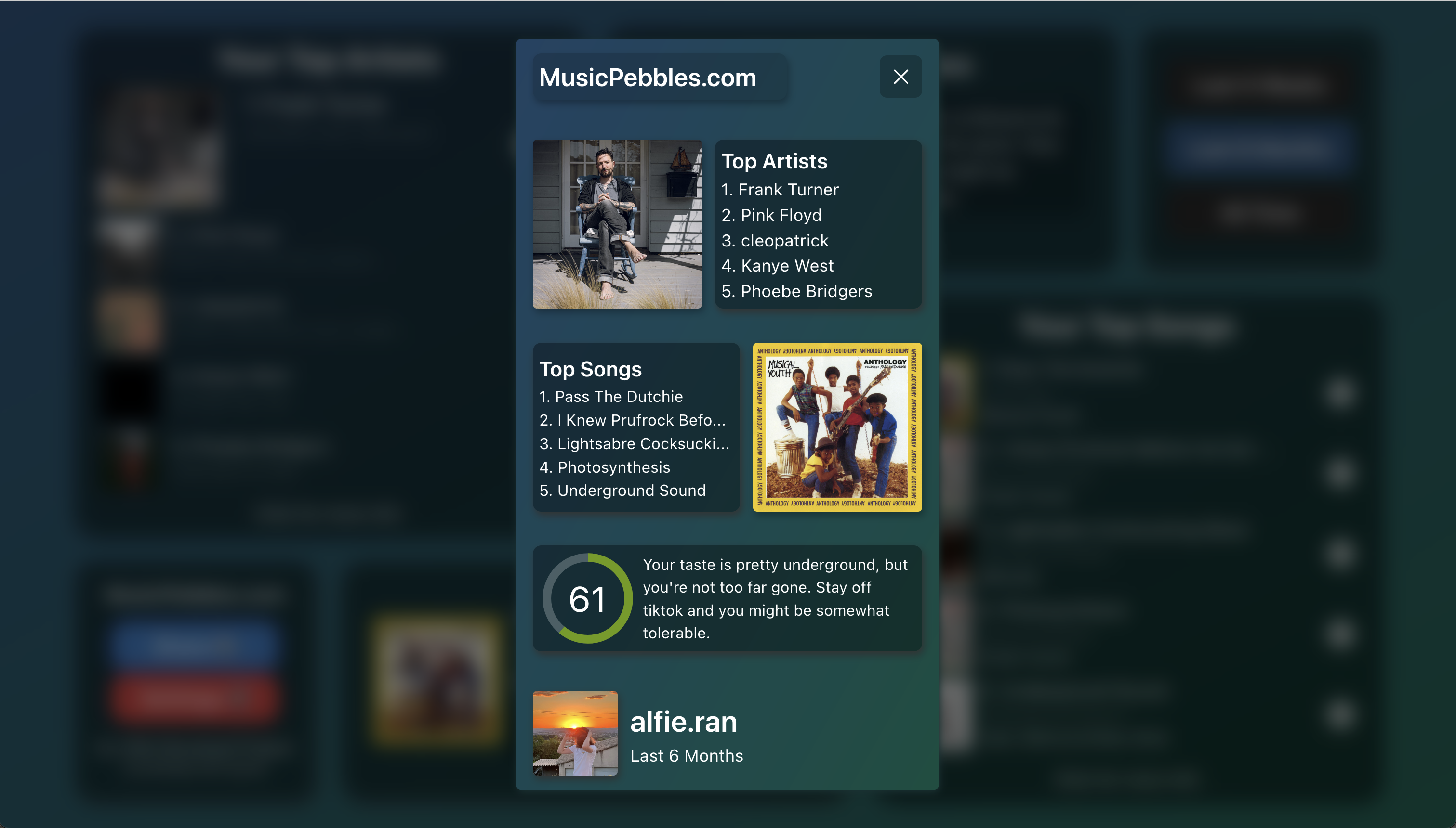 MusicPebbles.com media 4