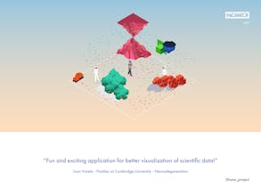 Project Lume gallery image