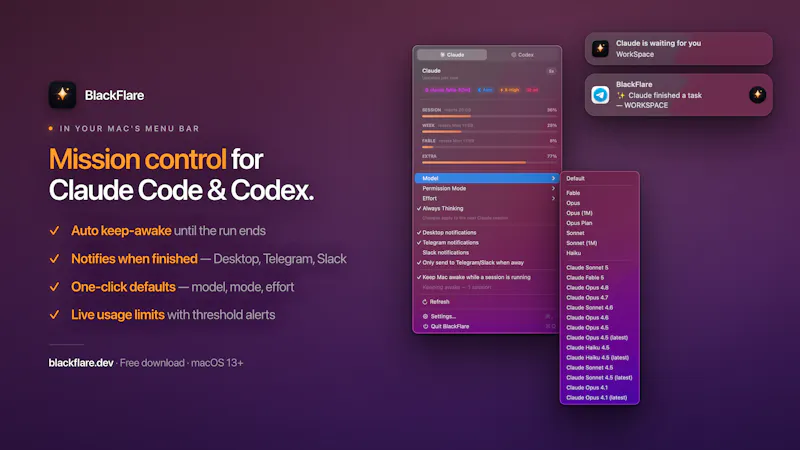 BlackFlare screenshot 2