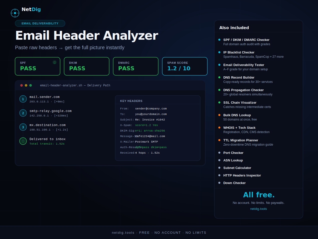 NetDig — Free DNS & Network Tools gallery image