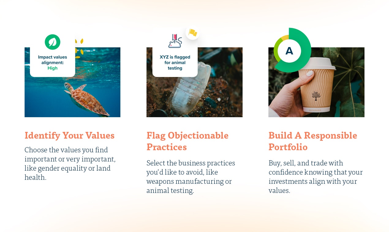 0ced69f7-1df2-4e6c-b1e0-02341e658d95.jpe