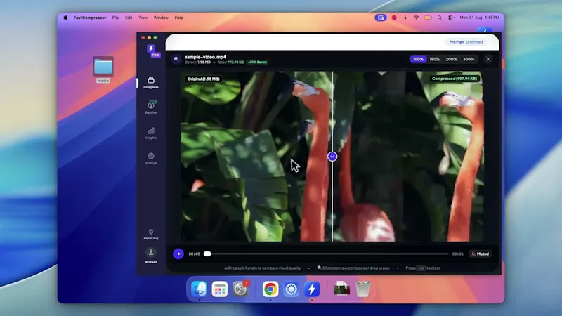 FastCompressor screenshot 1 (video preview)