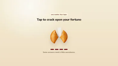 What’s My Fortune? gallery image