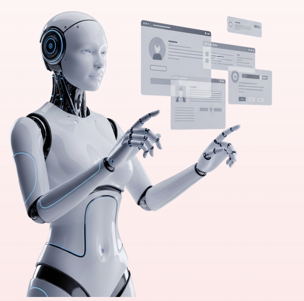 BudoBoost gallery image