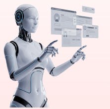 BudoBoost gallery image