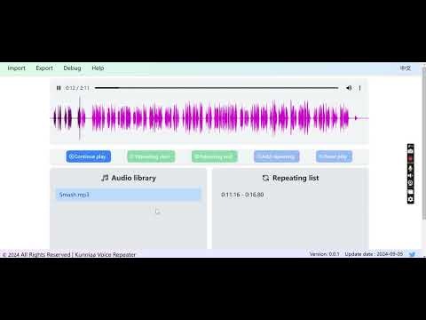 Kunniaa Voice Repeater gallery image