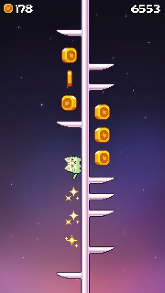 DonutCat gallery image