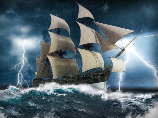 Seasfy-金融回復力の構築 - リスクを予測し、ビジネスを安定させます。私たちのテストを試してください!メディア3