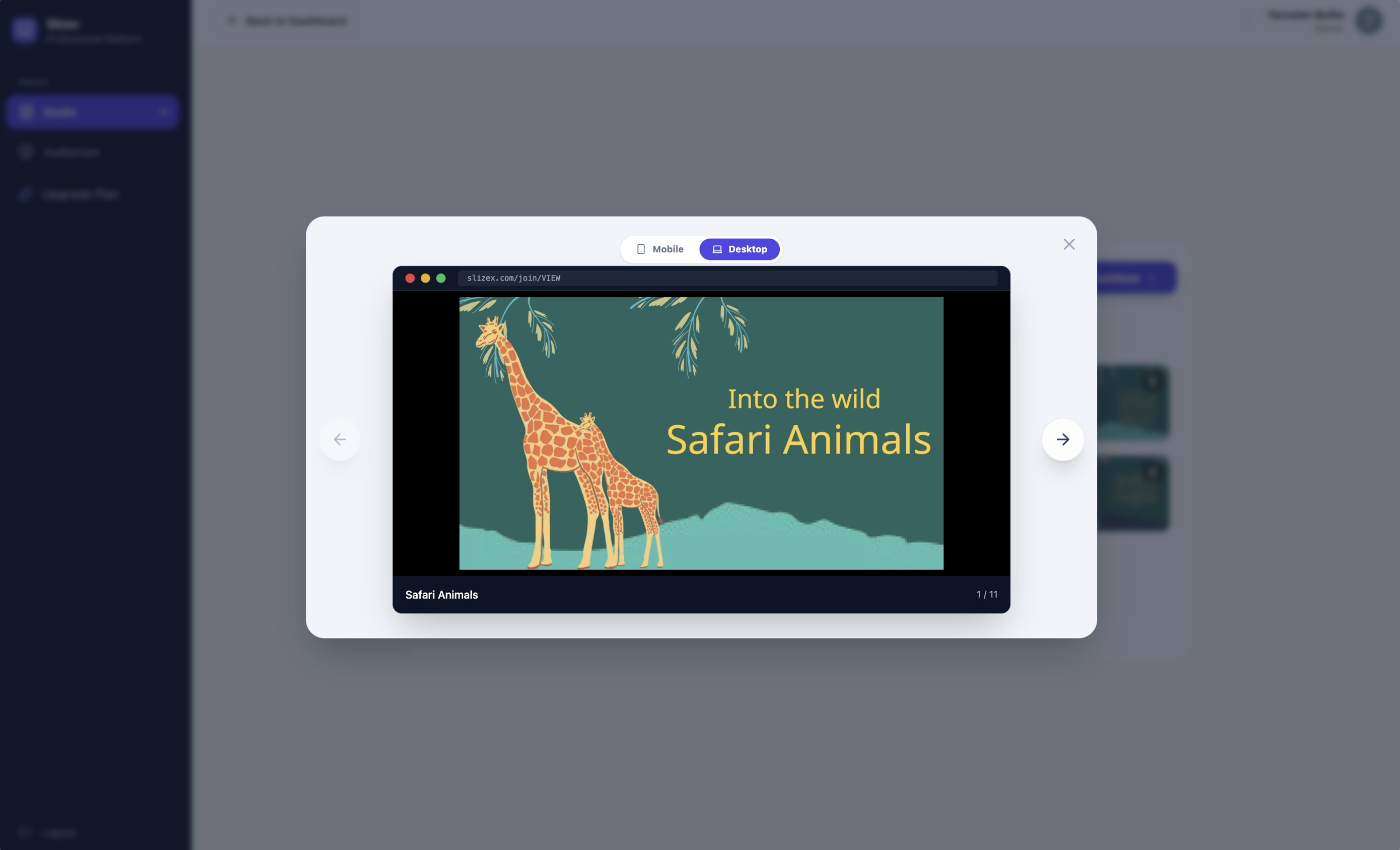 Slizex gallery image