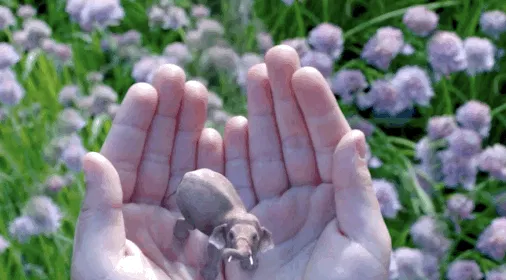Magic Leap