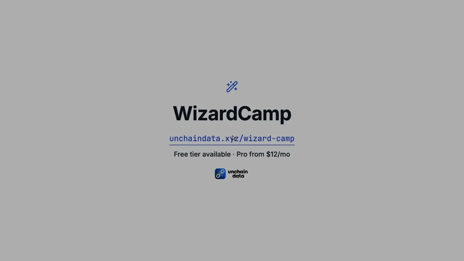 WizardCamp screenshot 1 (video preview)