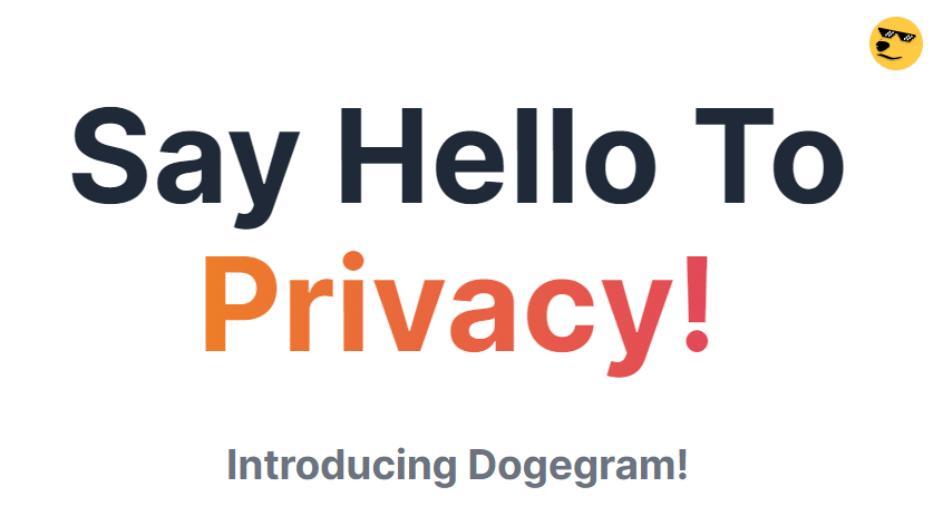 Dogegram gallery image