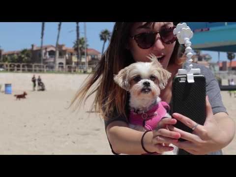 Flexy Paw gallery image