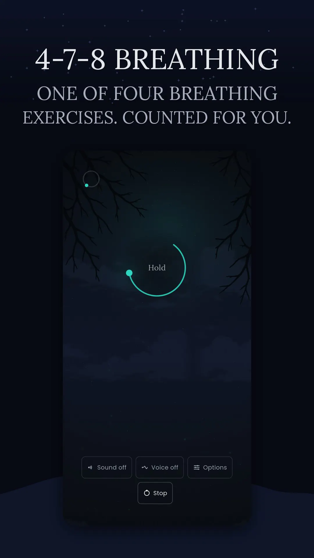Sleep Switch gallery image