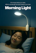 Morning light gallery image