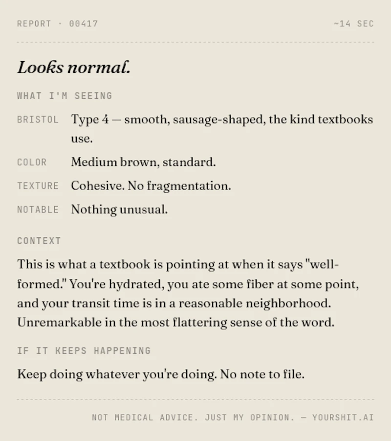 yourshit.ai screenshot 1