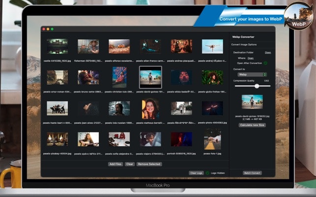 WebP Batch Image Converter gallery image