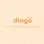 Dingo Dive
