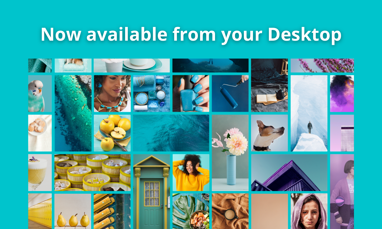 Canva For Desktop Every Design Ingredient You Need Now Available On Desktop Product Hunt