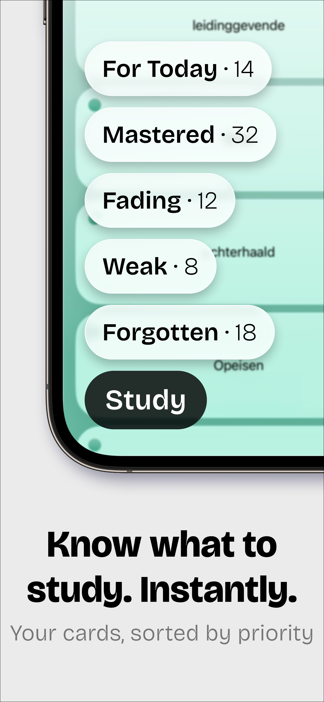 Memory Tags gallery image