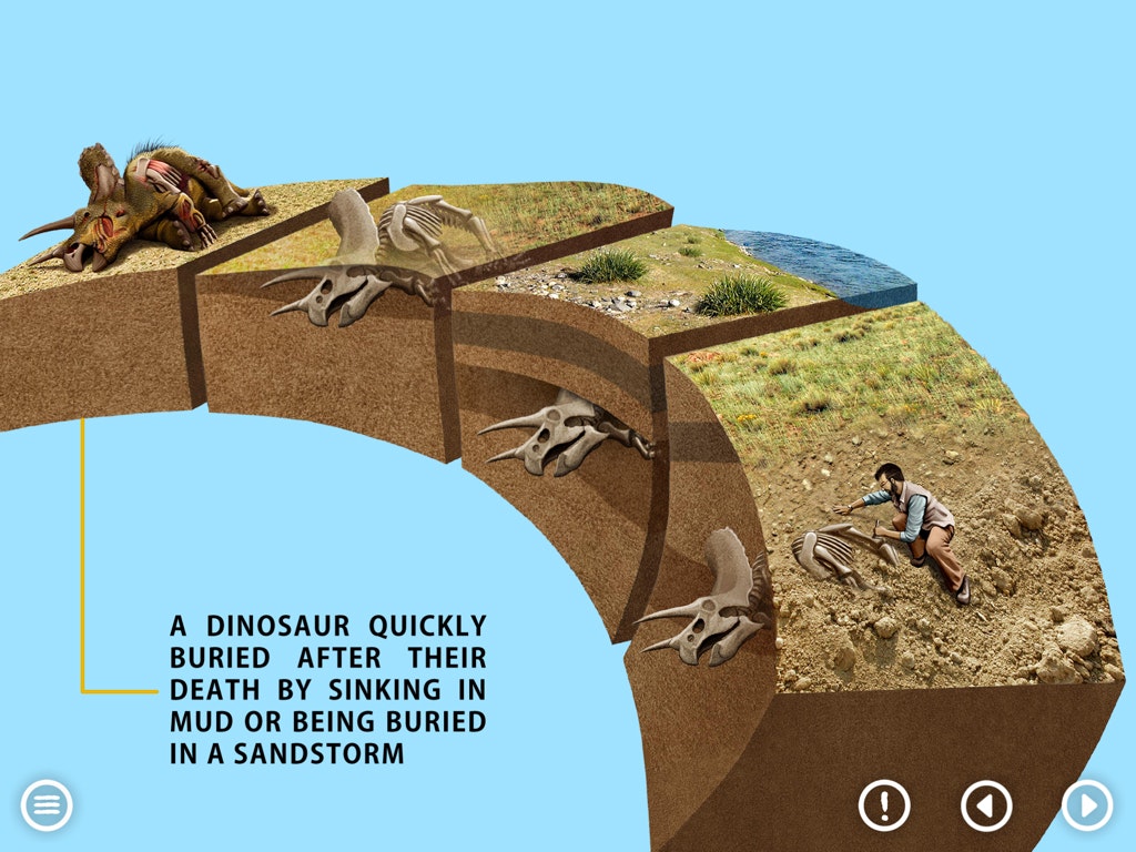 World of Dinosaurs : KIDS gallery image