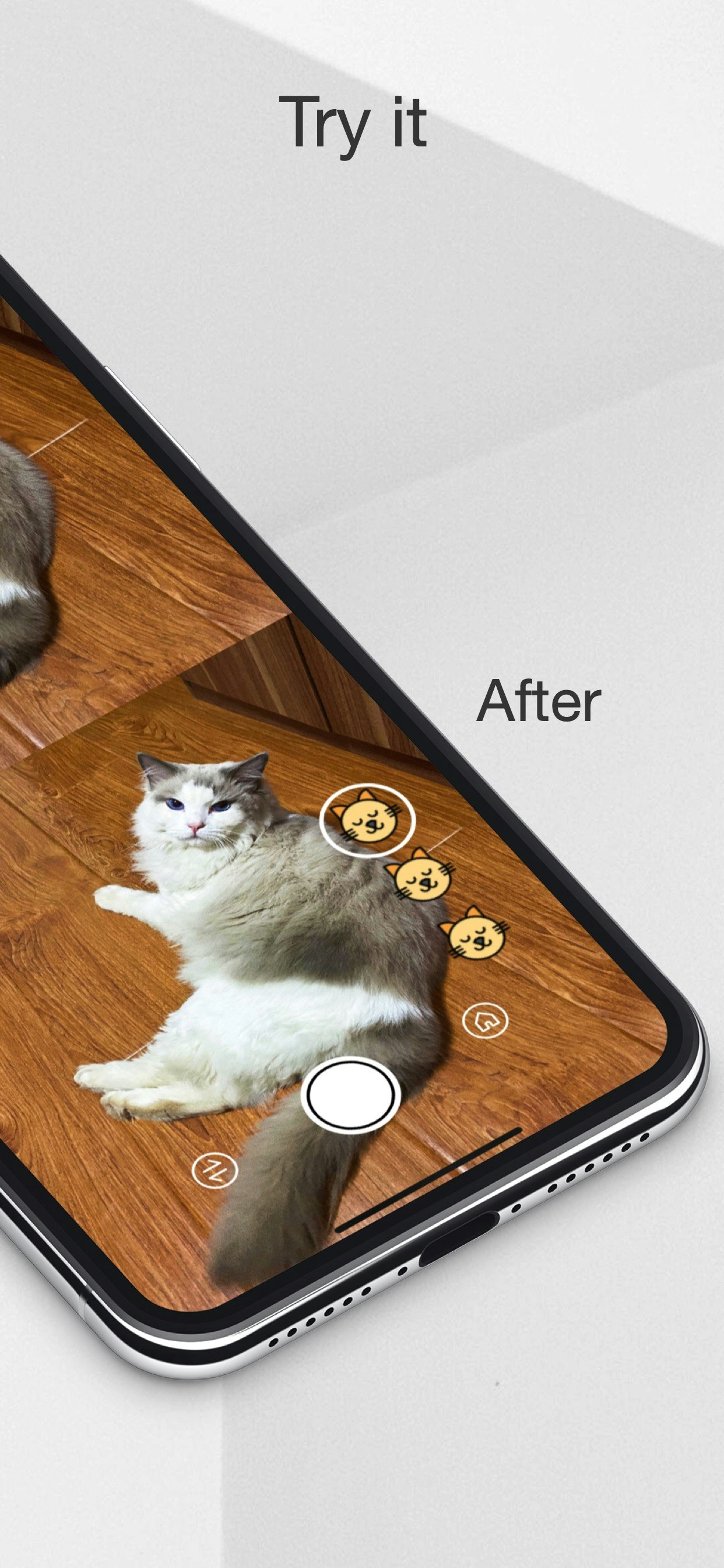 MeowCam-Play sound attract pet attention gallery image