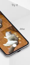 MeowCam-Play sound attract pet attention gallery image