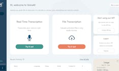 VoiceAI media 1