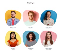 Ultimate Team Showcase WordPress Plugin gallery image