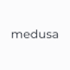 Medusa Commerce