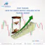Forex Trading | Fido Markets