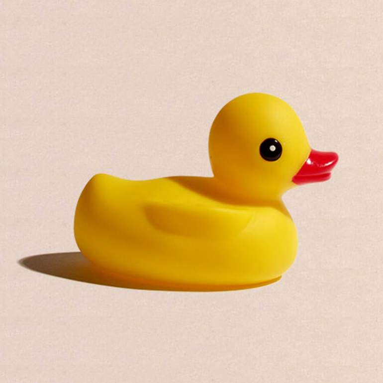 Remote Duck gallery image