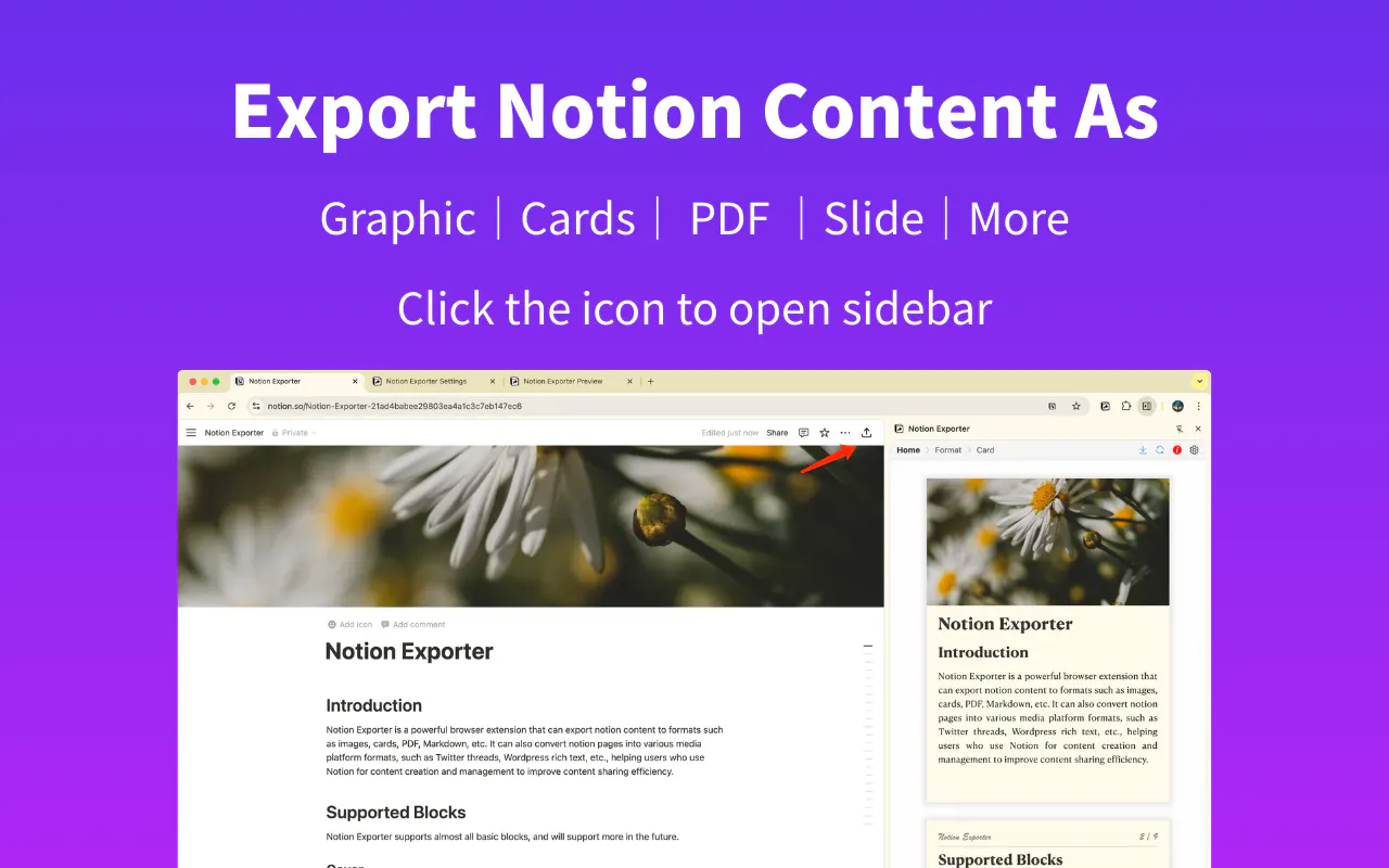 Banner del producto Notion Exporter