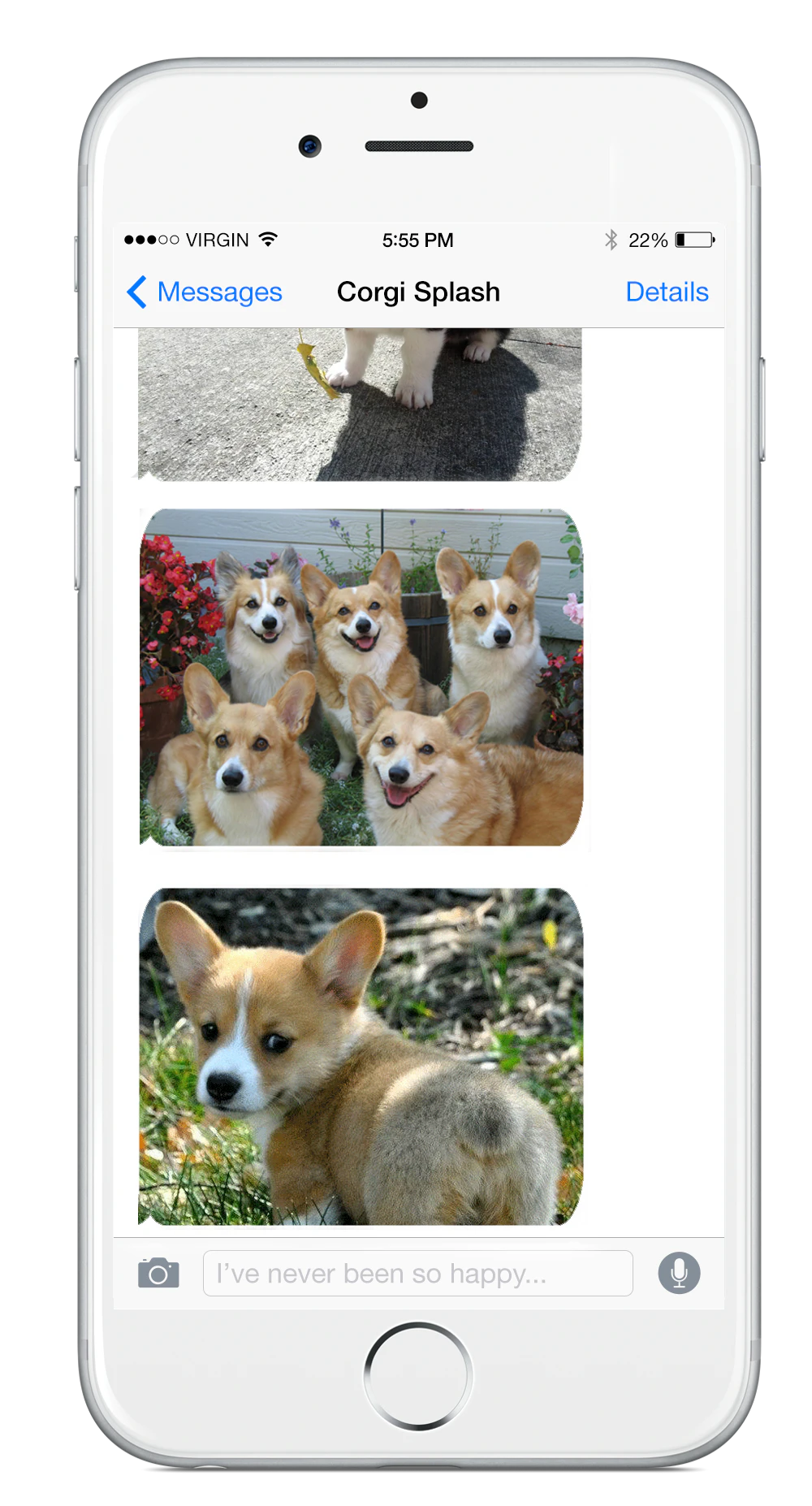 Corgi Orgy - Product Hunt