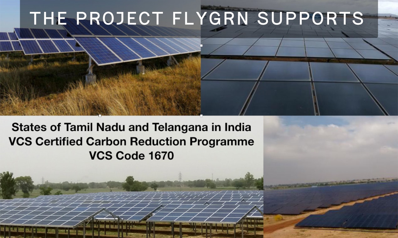 FlyGRN gallery image