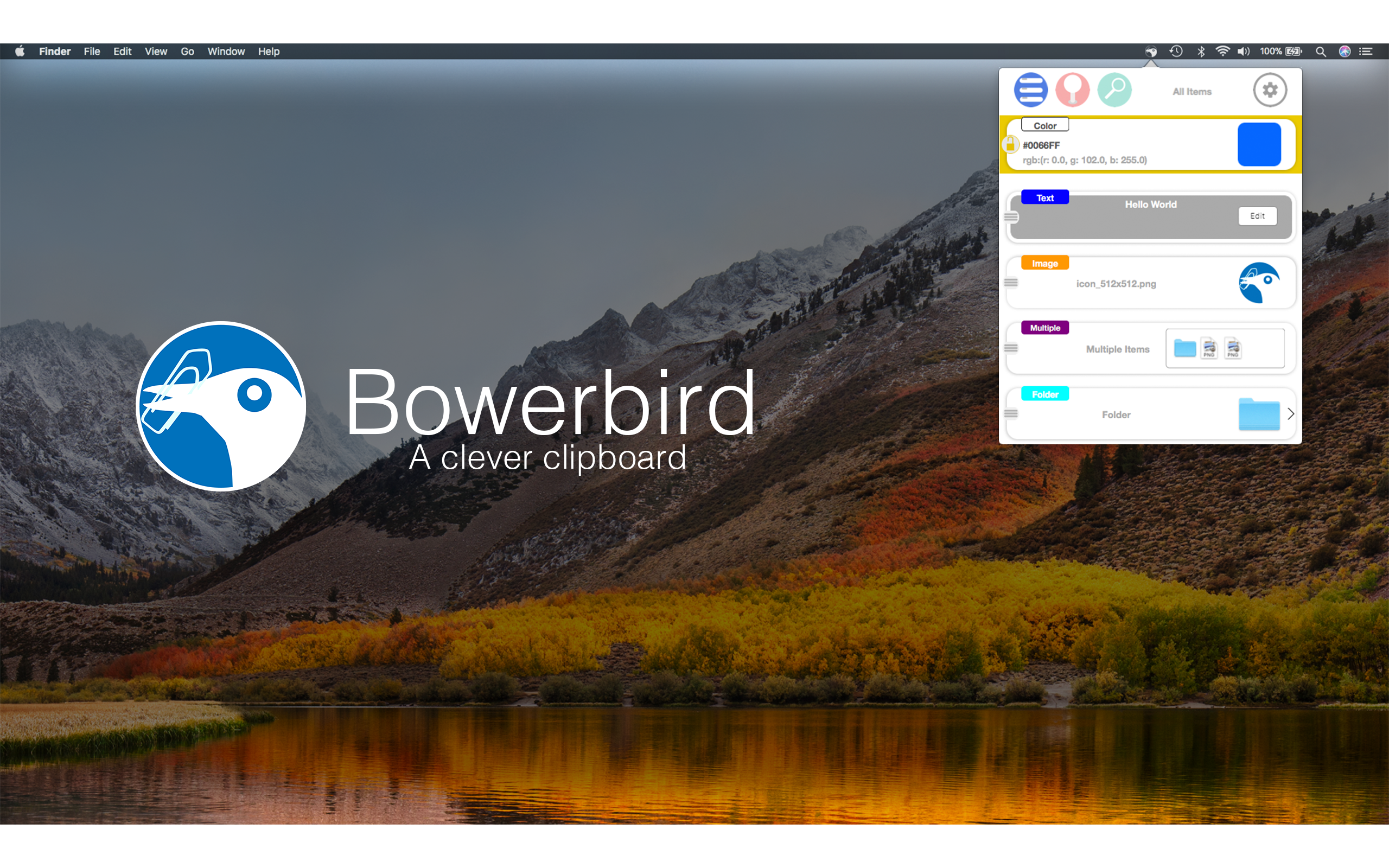 Bowerbird gallery image