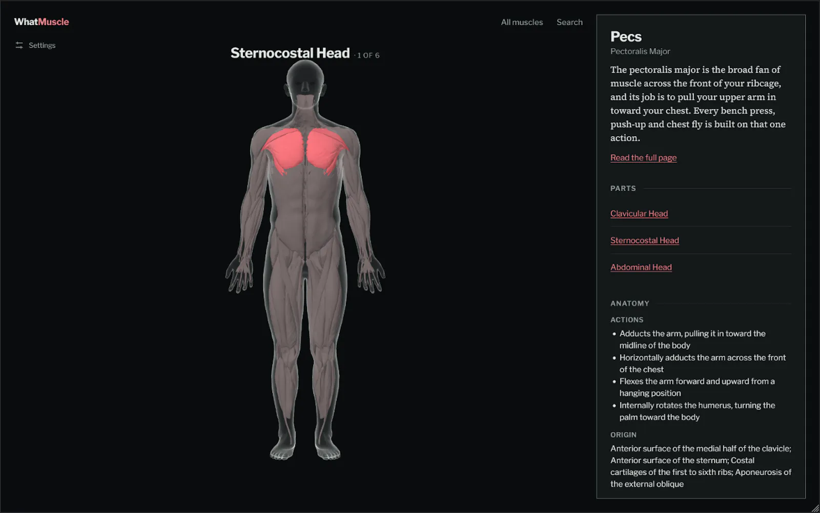 WhatMuscle screenshot 3
