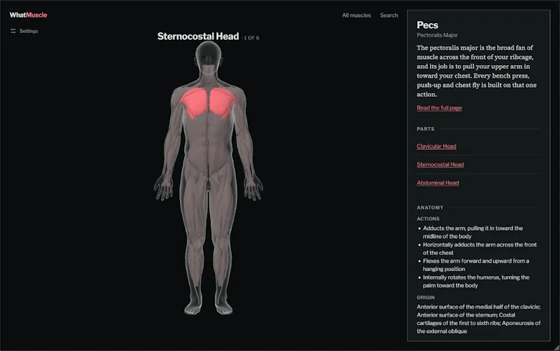 WhatMuscle screenshot 3