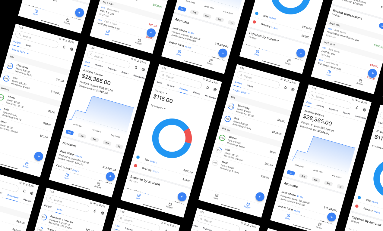 Contanti e budget - Money Manager, Spese Tracker, App di bilancio media 1